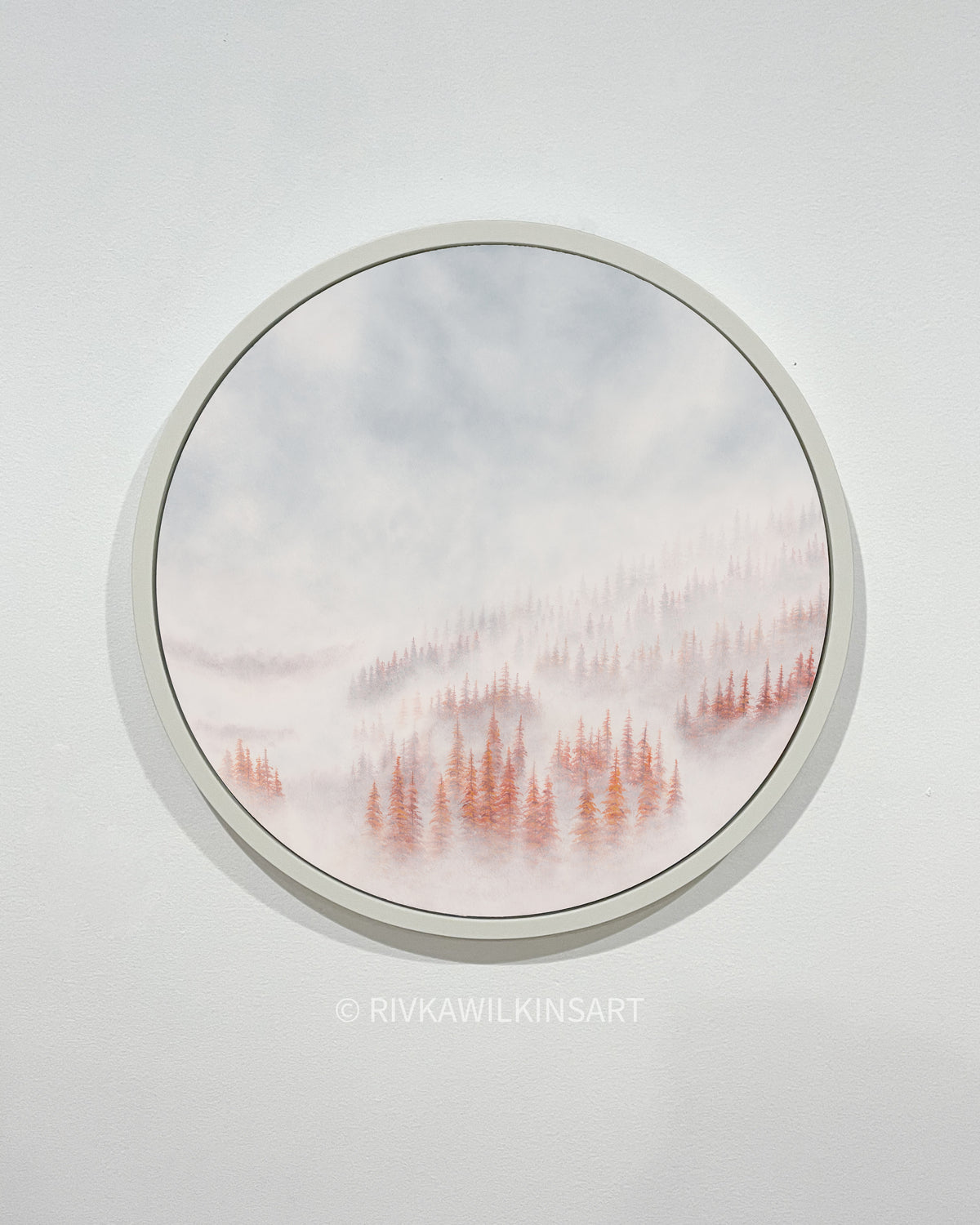 Into the Frost