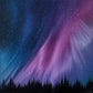 Arctic Euphoria