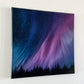 Arctic Euphoria