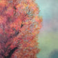 The Season Between