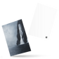 Black Water Bay Postcard