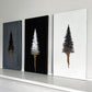 Evergreen collection 02