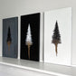 Evergreen collection 06